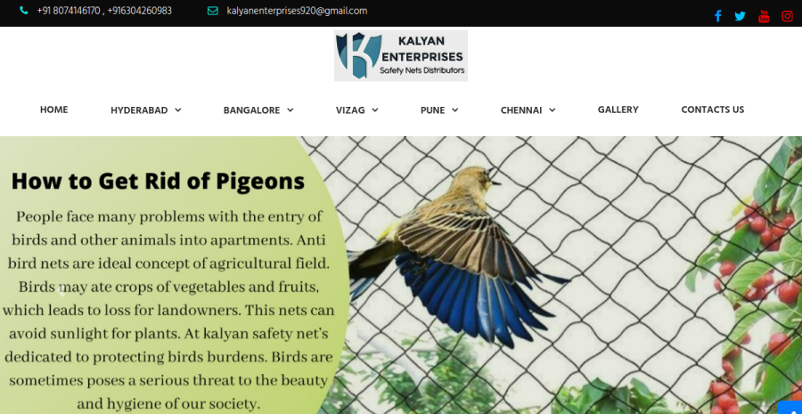 Kalyan Enterprise website